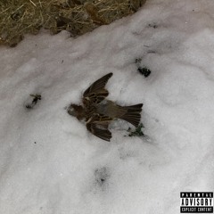 🌿 I LOST MY FUCKING WEED 🌿
