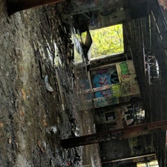 I thought I saw your face in the leaves