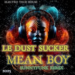 LE DUST SUCKER - MEAN BOY SUNNYFUNK REMIX .2025 MP3