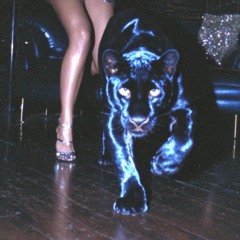 8_31 beat II - $B type