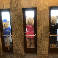 Poziv iz izbornog štaba SNS