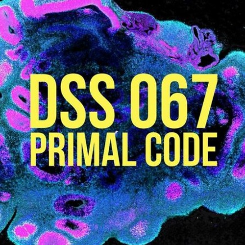 Deep Space Series - DSS 067 | Primal Code