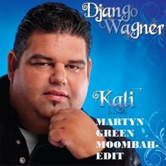 Django Wagner - Kali ( Martyn Green Moombah Edit )