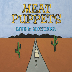 S.W.A.T. (Get Down) / Attacked by Monsters / Blue Bayou (Live in Montana)