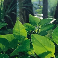 Sundari kannal oru sedhi