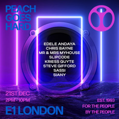Mr & Mrs My House - Peach Goes Hard - E1 London - 21st Dec 2024