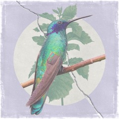 Komachi & Klode Chill - Ordinary Life