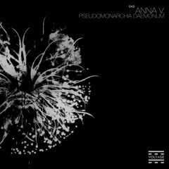 The Evocation (Original Mix)