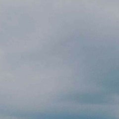 به نیلوفر بودن خود شادمانیم | شمس لنگرودی | [به بهانه‌ی زندگی]