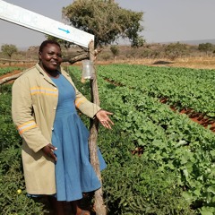 Roots In Palapye, Botswana - Building a Sustainable Agriculture Sector