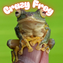 Crazy Frog (Remix)