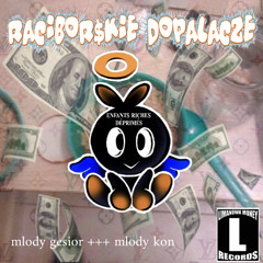 mlody gesior +++ mlody kon - racibor$kie dopalacze