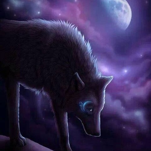 Stream A Wolf's Cry To The Moon by Andrew Ajay Singh | Listen online for  free on SoundCloud