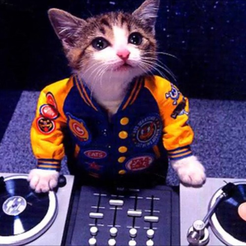 No No, Tek No Remix