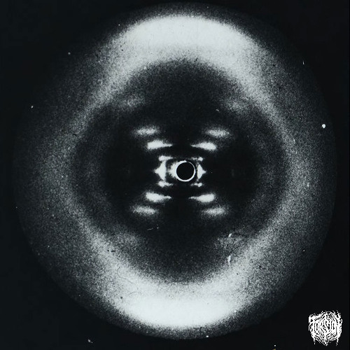 ALL WHILE THE WORLD IS FALLING APART AROUND YOU