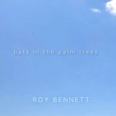 Bats In The Palm Trees