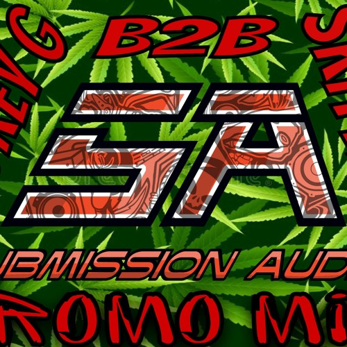 Submission Audio Promo Smokey G bk2bk Skittles