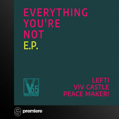Premiere: Viv Castle - Everything You're Not - V55records