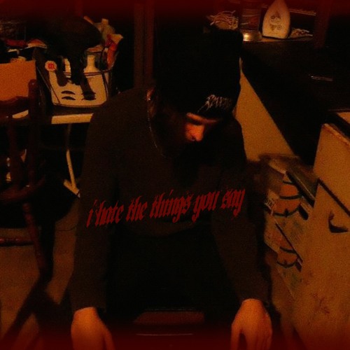 i hate the things you say [Prod. ERLAX]