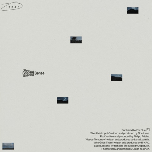 Various Artists - 'Shared Sense' (snippets)