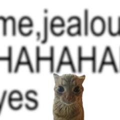 22 Bhad Bhabie verse hoodtrap flip