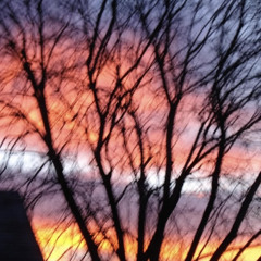 2017 “protect me” ft. vails & spaceboyry (prod. metlast)