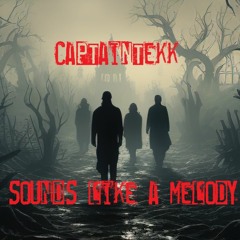 Sounds Like A Melody - CaptainTekk Remix