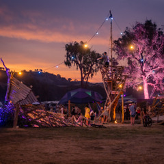 LackLuster at Tanglewood 2024