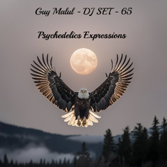 Guy Malul - DJ Set - 65 (Psychedelics Expressions) (1/3/2025)