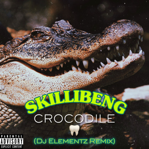 SKILLIBENG - CROCODILE TEETH ( DJ ELEMENTZ REMIX )
