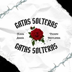 GATAS SOLTERAS - Flavia Abadia, VX3XINV, Medylandia