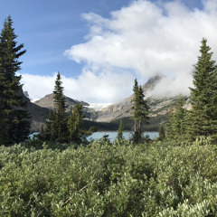 Love's Taken Over Flip