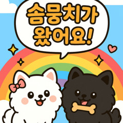 솜뭉치가 왔어요!