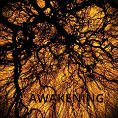 AWAKENING