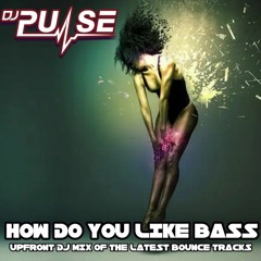 DJ Pulse How Do You Like Bass