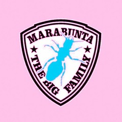 !Peace 2 Da 3 M.F. Hardcore!