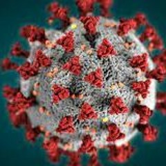 CM - Zaboo (September -22)