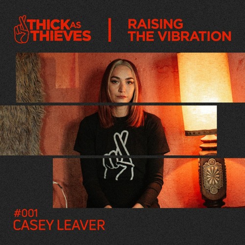 Raising the Vibration Mix #001 — CASEY LEAVER