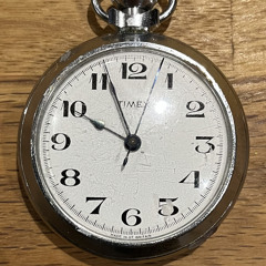 Song for the Time Being