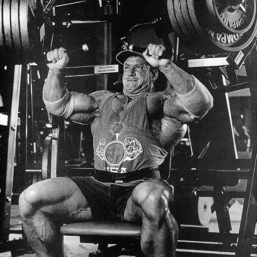 Pretty Girl Clairo x Tom Platz x Dorian Yates Blood n guts Gym Motivation