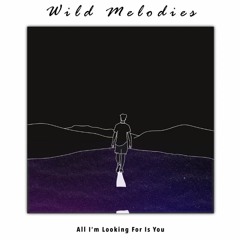Wild Melodies - All I'm Looking For Is You