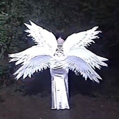 die glitchin {towa pasmurno}