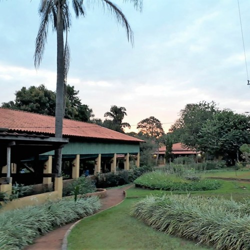 05.01.2022 - Cap. VII - Puros de Coração - Bem Aventurados os Que Tem os Olhos Fechados (4)