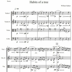 Habits Of A Tree