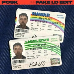 Riton & Kah-Lo - Fake I.D [POSK EDIT]