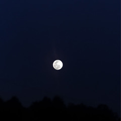 rises the moon (cov)