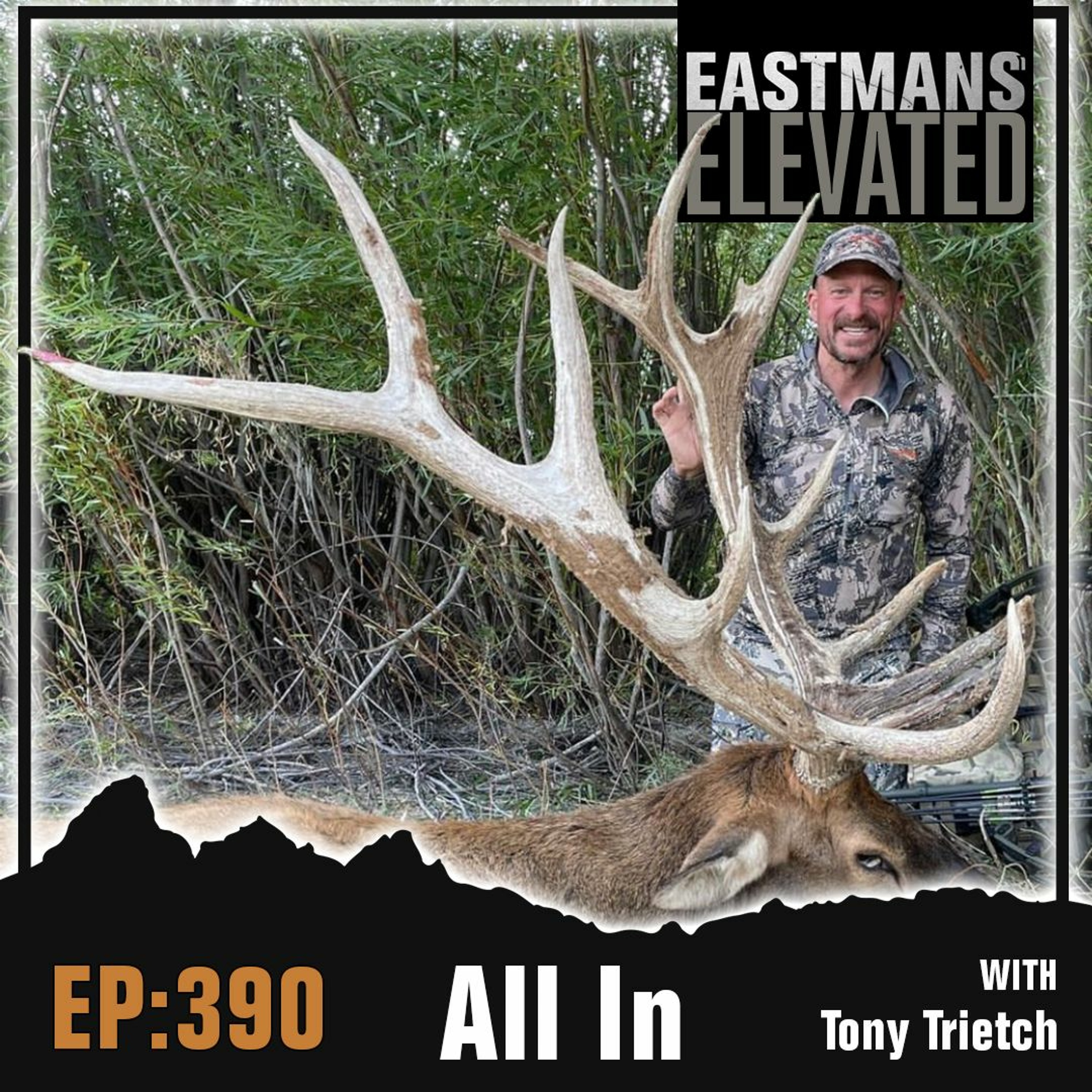 Episode 390:  All In With Tony Trietch