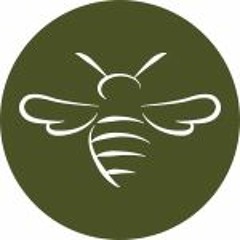 Sol-fa Level 1 (Beginner)