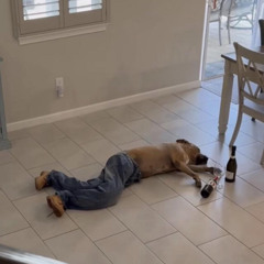 Juice WRLD - Drunk Pt2