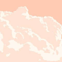 BONUS/MISC